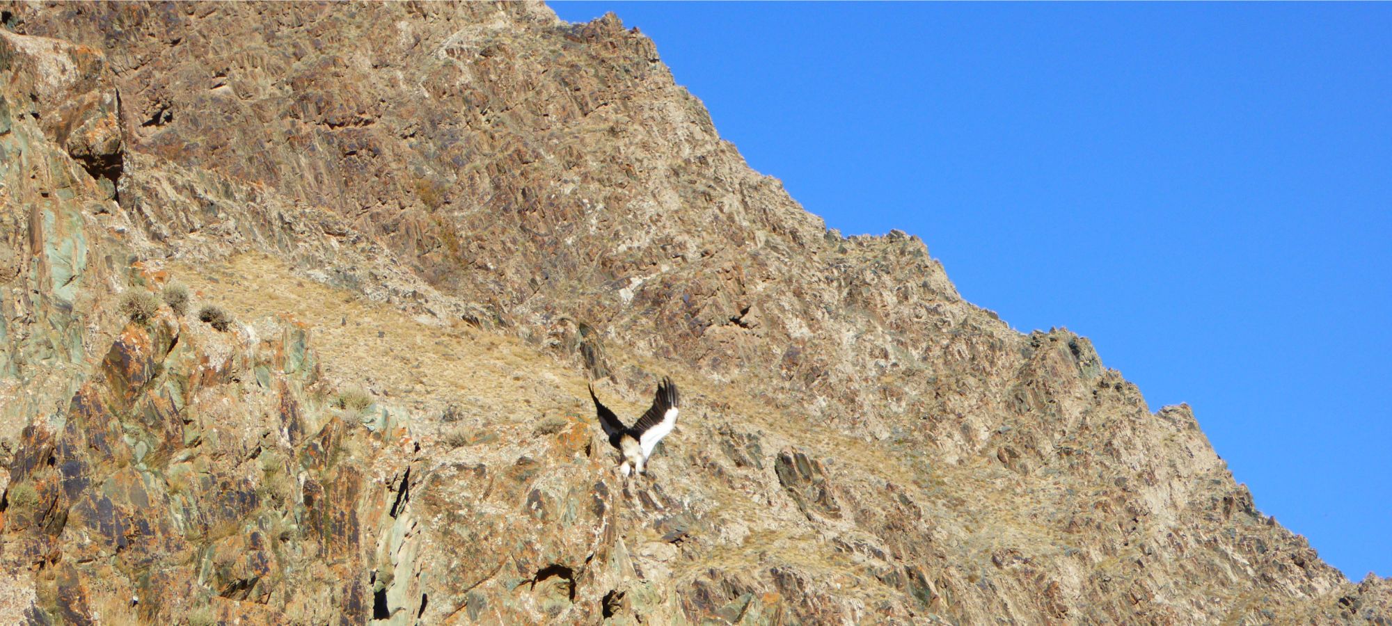 Photos from our Karakoram Highway Cycling Holiday